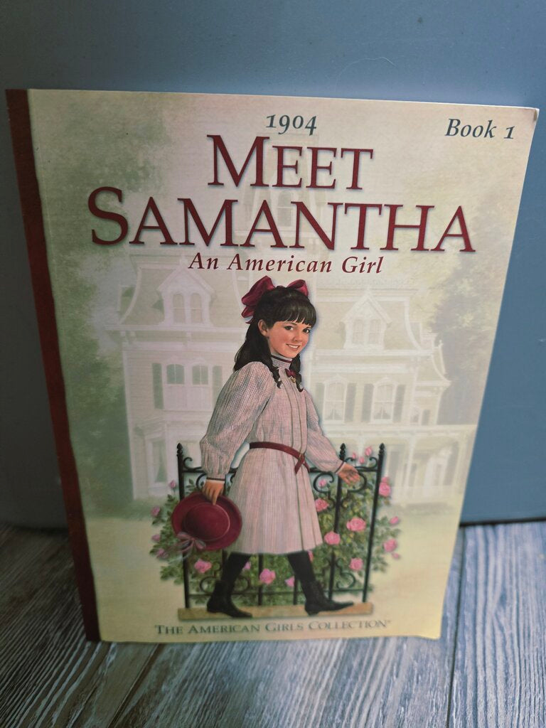 Meet Samantha Book
