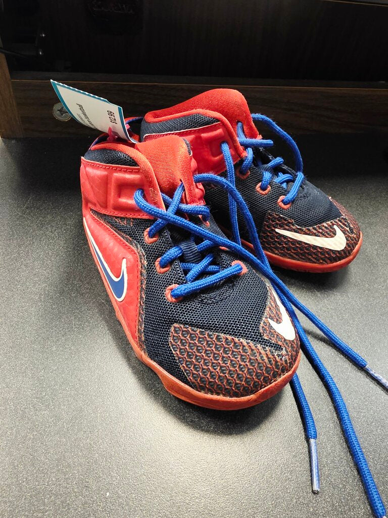 Red & blue Lebron basketball shoes