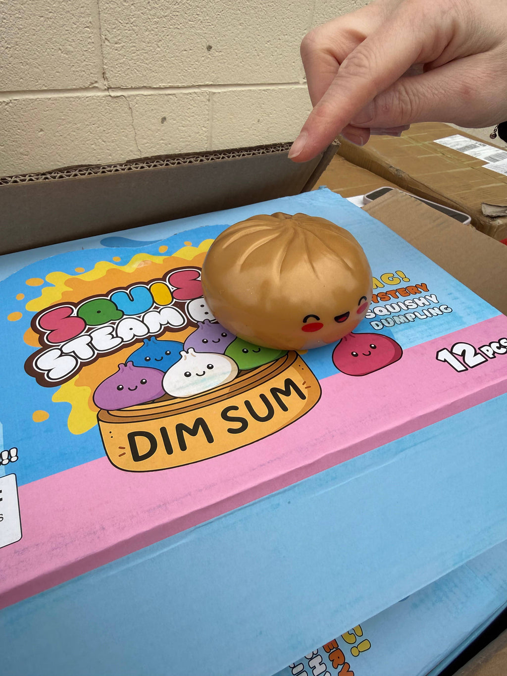 The Viral Mystery  Dumpling Squishy  