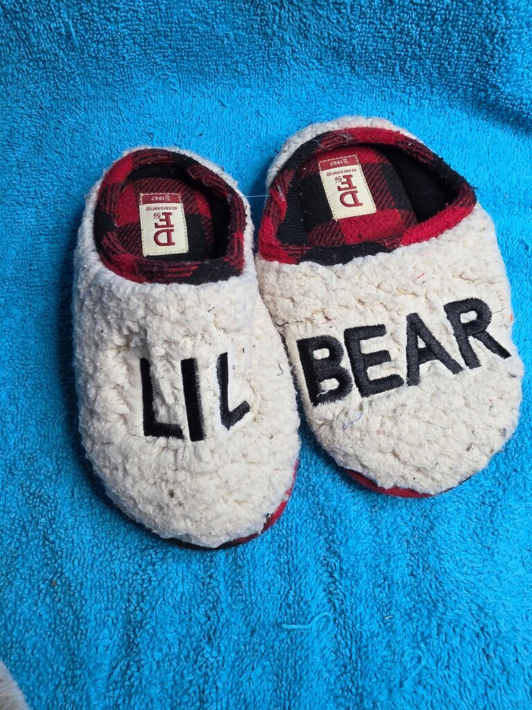 9/10 Lil Bear Slippers