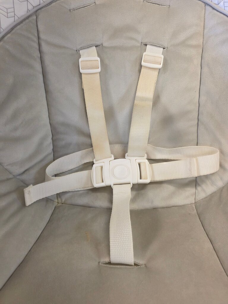 Graco Baby Swing