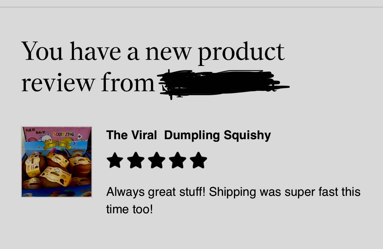 The Viral Mystery  Dumpling Squishy  